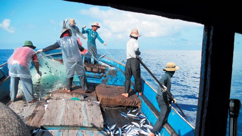 Программа «Рыболовные сети в поддержку рыбакам островов Хоангша и Чыонгша - 2013» - ảnh 1