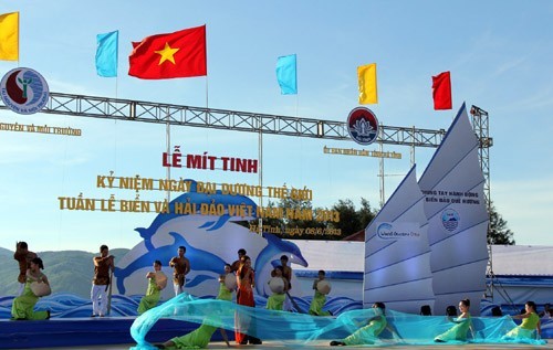 Митинг, посвященный Неделе моря и островов Вьетнама - 2013 - ảnh 2