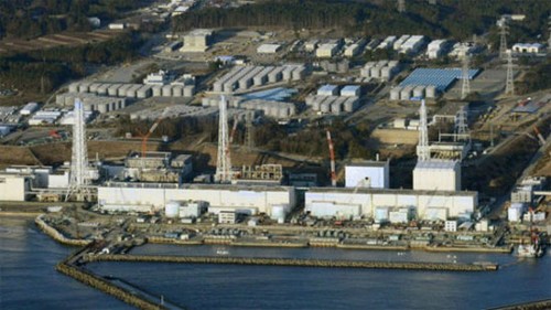 На АЭС «Фукусима-1» обнаружено повышенное содержание радиации - ảnh 1