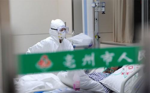 В Китае выявлен новый случай заражения птичьим гриппом H7N9 - ảnh 1