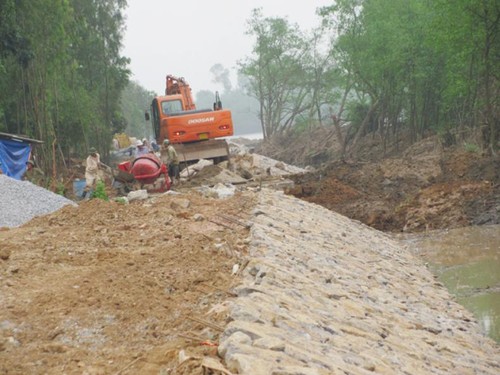 Провинция Куангбинь прилагает усилия для строительства новой деревни - ảnh 4