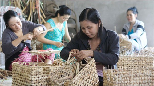 Во Вьетнаме изменяют способы сокращения бедности - ảnh 1