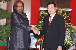 Президент Вьетнама Чыонг Тан Шанг принял министров Анголы и Конго - ảnh 1
