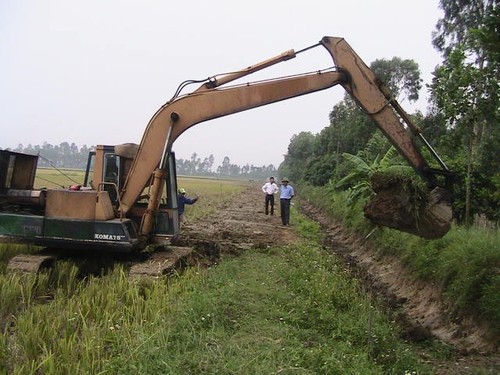 В общине Нгухунг провинции Хайзыонг активизируется строительство новой деревни - ảnh 4