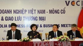 В г.Хошимине открылся вьетнамо-монгольский бизнес-форум - ảnh 1