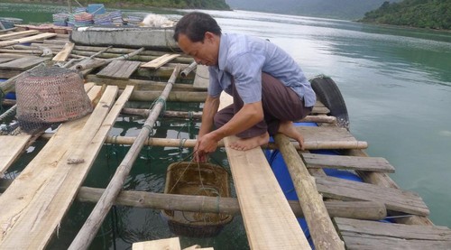 Выращивание морепродуктов в островном уезде Вандон провинции Куангнинь - ảnh 2