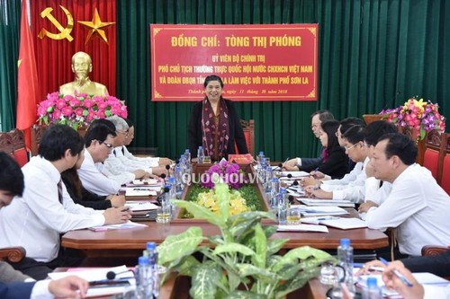 Вице-спикер вьетнамского парламента провела рабочую встречу с руководством провинции Шонла - ảnh 1