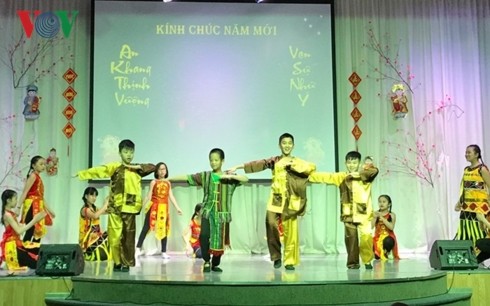 Вьетнамцы в разных странах встречают традиционный новогодний праздник - ảnh 2