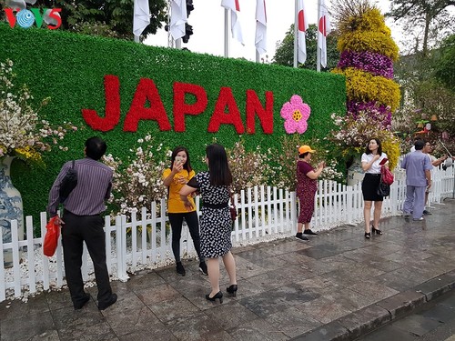 В Ханое прошёл фестиваль японской сакуры 2019 года - ảnh 1