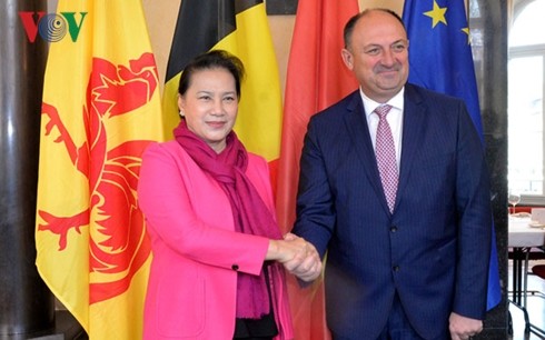 Председатель НС СРВ встретилась с министр-президентом бельгийского региона Валлония - ảnh 1