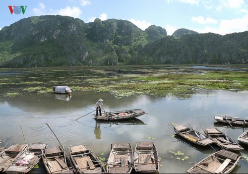 Заповедник Ванлонг - водно-болотное угодье международного значения - ảnh 6