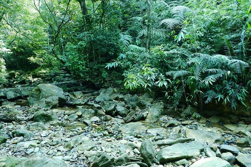 Величественная красота водопада Докуен  - ảnh 3