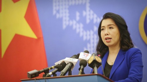 Вьетнам защищает свой суверенитет, суверенные права и юрисдикцию мирным путём в соответствии с международным правом - ảnh 1