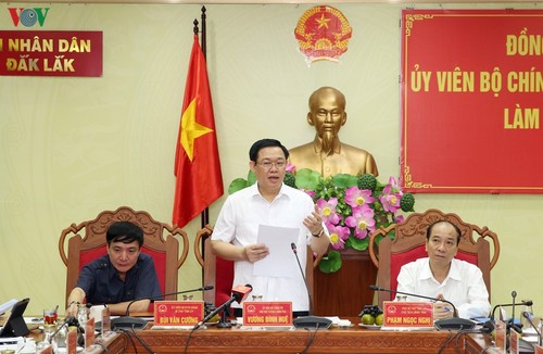 Вице-премьер Вьетнама Выонг Динь Хюэ обсудил с руководством провинции Даклак направления её развития - ảnh 1