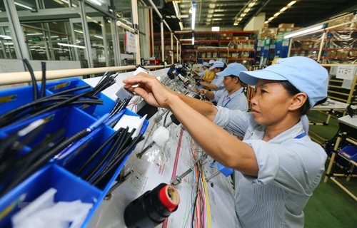 Международные специалисты: Вьетнам показывает молодость экономики - ảnh 1