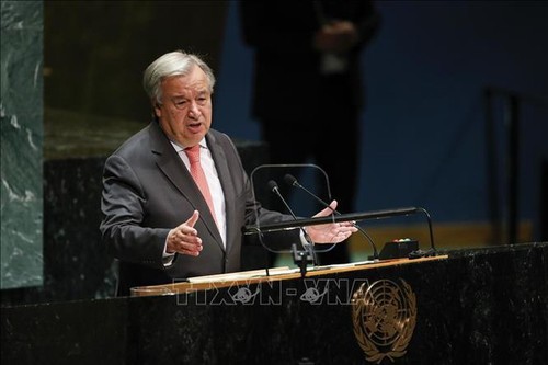 В ООН напомнили о коллективной ответственности за судьбу палестинцев - ảnh 1