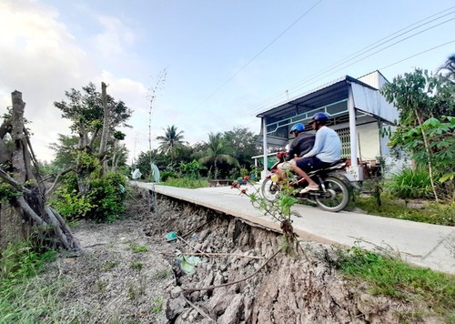 Засуха причиняет большой ущерб провинции Камау - ảnh 10