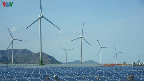 В провинции Ниньтхуан началась реализация проекта возобновляемой энергетики стоимостью 12 трлн донгов  - ảnh 1