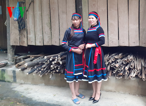 Особенности культуры народности Шуйцы в провинции Туенкуанг - ảnh 1