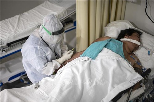 Мексика объявила 30-дневный национальный траур по жертвам пандемии коронавируса - ảnh 1