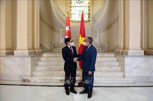 Министр иностранных дел Буй Тхань Шон провёл двустороннюю встречу с исполняющим обязанности министра иностранных дел Кубы Марселино Мединой Гонсалесом - ảnh 1