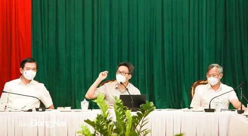 Вице-премьер Ву Дык Дам предложил провинции Донгнай усилить тестирование на COVID-19 - ảnh 1