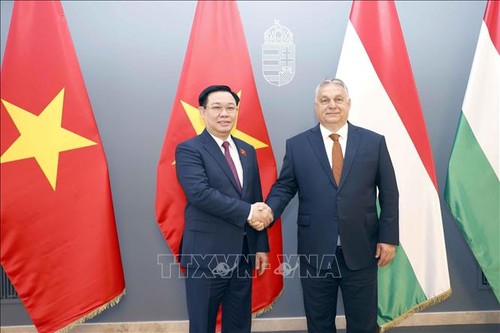 Активизируются отношения всеобъемлющего партнерства между Вьетнамом и Венгрией, углубляется отношения стратегического партнерства между Вьетнамом и Великобританией - ảnh 1
