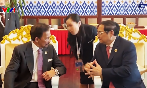 Премьер-министр Фам Минь Тинь принял участие в мероприятиях в рамках саммита АСЕАН - ảnh 2