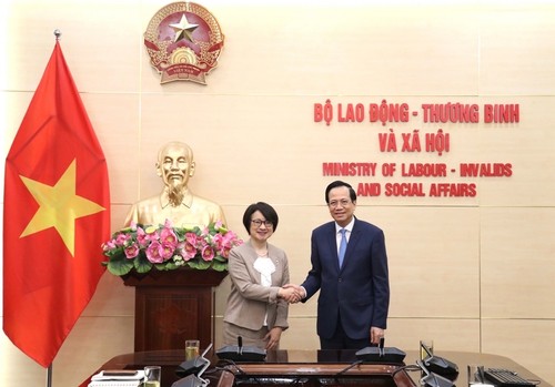 Вьетнам и МОТ укрепляют сотрудничество - ảnh 1