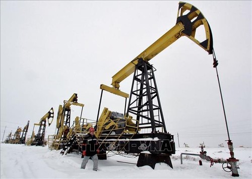 Россия и Саудовская Аравия обсудили решение ОПЕК+ о сокращении добычи нефти - ảnh 1