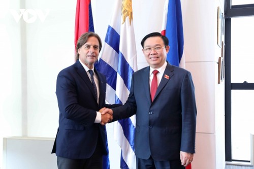 Vietnam attaches importance to relations, cooperation with Uruguay  - ảnh 1