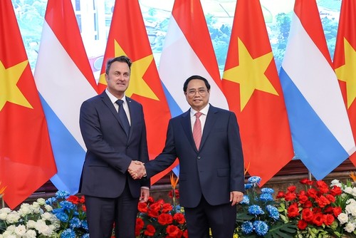 Углубление отношений дружбы и многопланового сотрудничества между Вьетнамом и Люксембургом - ảnh 1