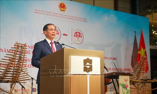 50-летие дипотношений между Вьетнамом и Сингапуром: двусторонние отношения интенсивно развиваются - ảnh 1