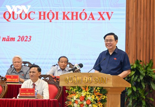 Председатель НС СРВ Выонг Динь Хюэ провел встречу с избирателями города Хайфон - ảnh 1