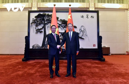 Президент Во Ван Тхыонг провел встречу с председателем постоянного комитета ВСНП Чжао Лэцзи - ảnh 1