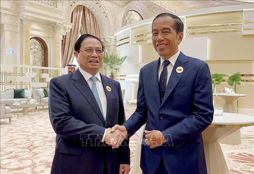 Премьер-министр Фам Минь Тинь провел встречи с президентом Филиппин, президентом Индонезии и премьер-министром Сингапура на полях саммита АСЕАН-ССАГПЗ - ảnh 1