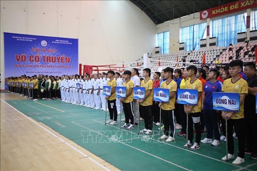 Во Вьетнаме открылся 32-й всенациональный чемпионат по традиционным боевым искусствам  - ảnh 1
