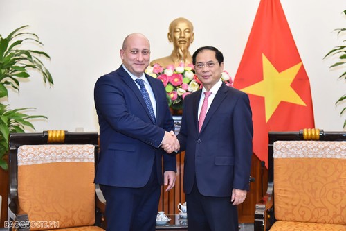 Замминистра иностранных дел Грузии совершает рабочий визит во Вьетнам - ảnh 1