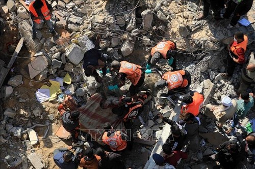 СБ ООН принял резолюцию с призывом создавать условия для прекращения огня в Газе - ảnh 1