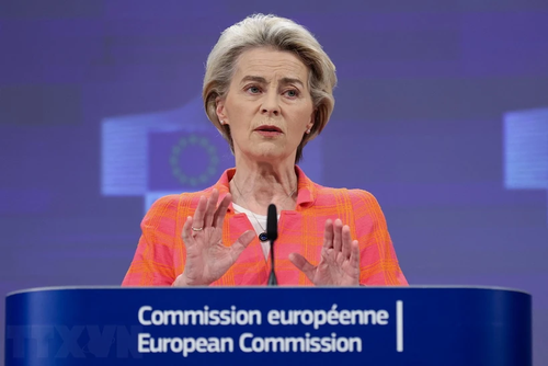 Евросоюз выделит Мавритании 210 млн евро на сдерживание мигрантов - ảnh 1