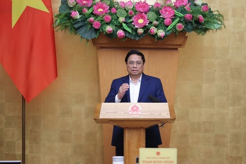 Премьер-министр Фам Минь Тинь председательствовал на заседании для оценки итогов встречи Тэта - ảnh 1