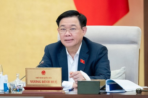 Председатель НС СРВ Выонг Динь Хюэ: Необходимо тщательно подготовиться к 7-й сессии НС 15-го созыва - ảnh 1