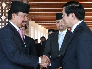 Chủ tịch nước Trương Tấn Sang hội đàm với Quốc vương Brunei Hassanal Bolkiah - ảnh 2