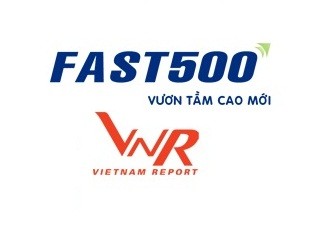 Công bố top 500 doanh nghiệp tăng trưởng nhanh nhất Việt Nam - ảnh 1