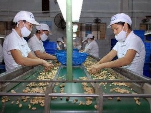 Việt Nam đẩy mạnh xuất khẩu hàng hóa sang châu Âu qua Séc  - ảnh 1
