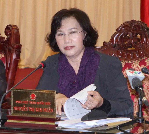 Phó Chủ tịch Quốc hội Nguyễn Thị Kim Ngân: Đẩy mạnh kiểm toán việc thực hiện tái cơ cấu nền kinh tế  - ảnh 1