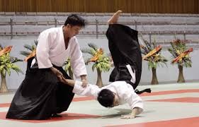 Biểu diễn Aikido kỷ niệm quan hệ ngoại giao Việt Nam – Nhật Bản  - ảnh 1