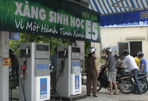Tăng trưởng xanh và chính sách tài khóa về nhiên liệu hóa thạch ở Việt Nam  - ảnh 1