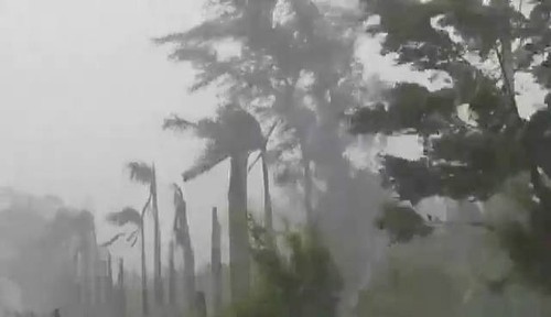 4 người chết, 2 người mất tích do bão Rammasun - ảnh 1