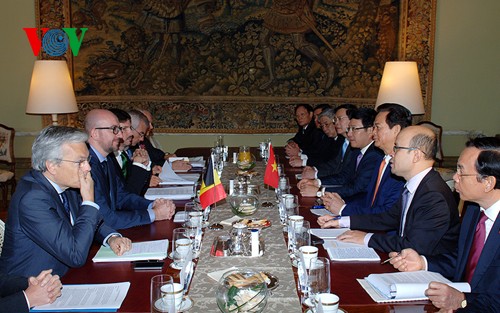Thủ tướng Nguyễn Tấn Dũng hội đàm với tân Thủ tướng Vương quốc Bỉ Charles Michel - ảnh 3